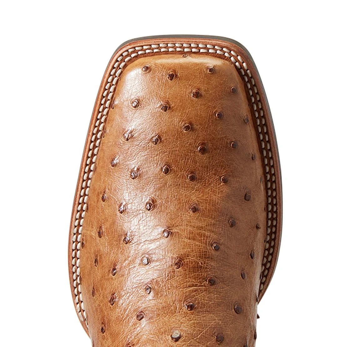 Ariat Men`s Quantum Primo Ranger FQ Ostrich 11` Beam Brown Top Square Toe Boots - Image 5